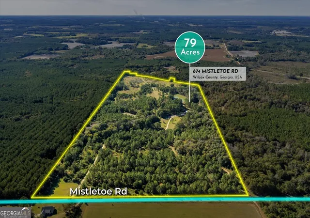 Homes for sale in Abbeville, GA | 874 Mistletoe Rd, Abbeville, GA 31001 | MLS# 10631854