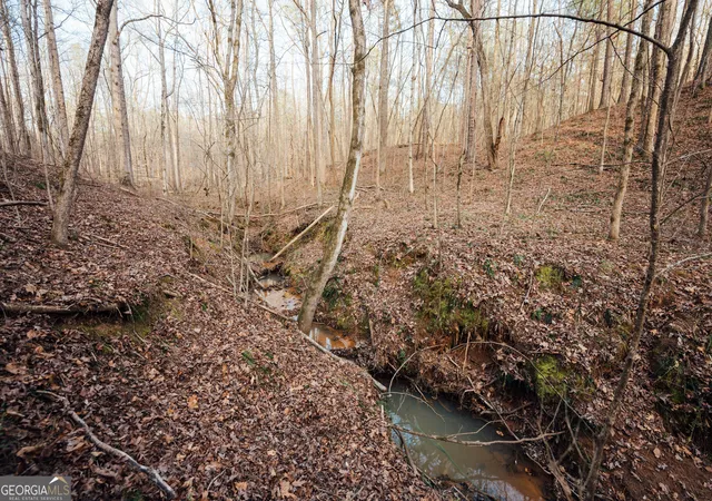 12th image of 2861 Acres Sandy Creek Rd, Madison, GA 30650 | MLS# 10799298