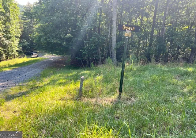 Photo 1 of Land for sale at 0 Alpine 3625 Dr, Ellijay, GA 30540 | MLS# 10800883 | Listing updated on 2026-10-19