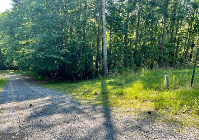 Photo 2 of Land for sale at 0 Alpine 3625 Dr, Ellijay, GA 30540 | MLS# 10800883 | Listing updated on 2026-10-19