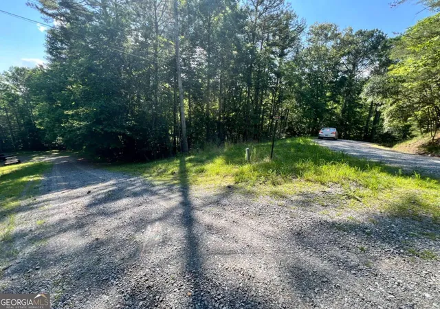 Photo 3 of Land for sale at 0 Alpine 3625 Dr, Ellijay, GA 30540 | MLS# 10800883 | Listing updated on 2026-10-19