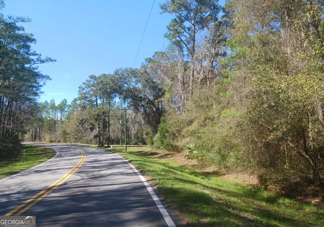 2nd image of 0 Dover Bluff Rd & Ga Episcopal Center Rd Center, Waverly, GA 31565 | MLS# 10276950