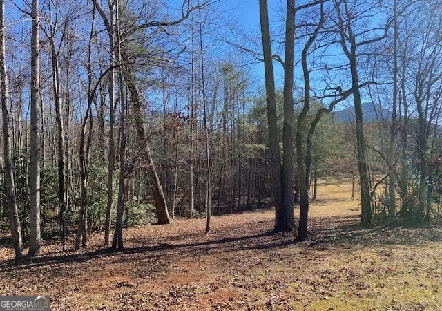 Photo 2 of Land for sale at 0 Whippoorwill Ln, Sautee Nacoochee, GA 30571 | MLS# 10688430 | Listing updated on 2026-07-12