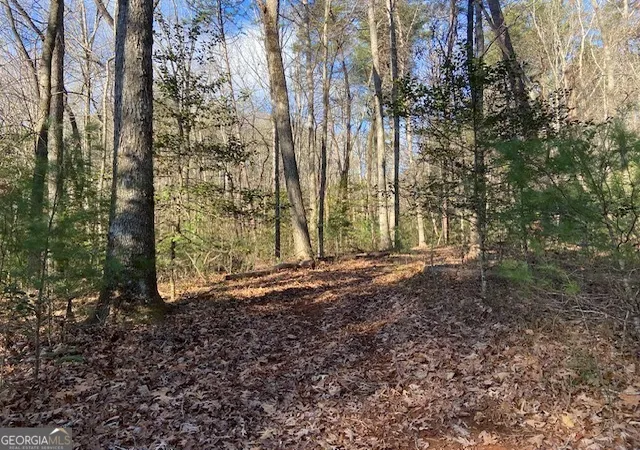 Photo 3 of Land for sale at 0 Whippoorwill Ln, Sautee Nacoochee, GA 30571 | MLS# 10688430 | Listing updated on 2026-07-12
