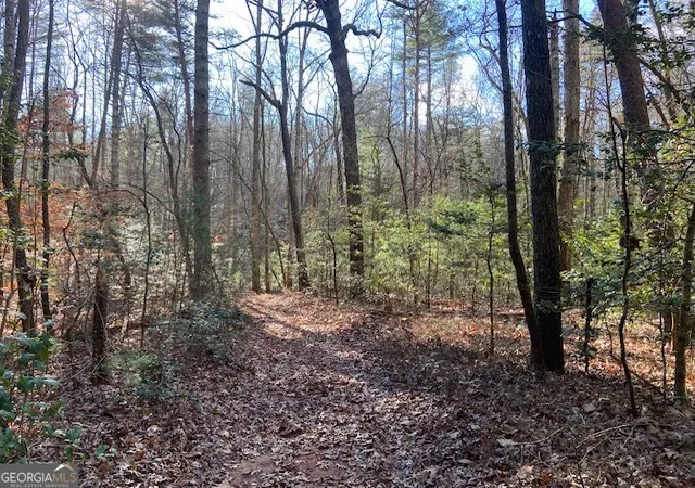 Photo 4 of Land for sale at 0 Whippoorwill Ln, Sautee Nacoochee, GA 30571 | MLS# 10688430 | Listing updated on 2026-07-12