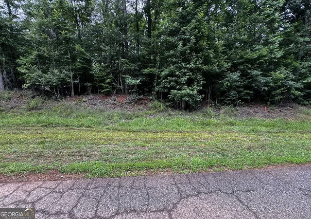 Homes for sale in Homer, GA | 0 Wilson Bridge Road (478+/  Acres), Homer, GA 30547 | MLS# 10789957