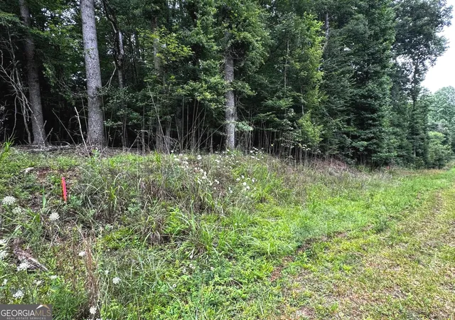 Homes for sale in Homer, GA | 0 Wilson Bridge Road (478+/- Acres), Homer, GA 30547 | MLS# 10789957
