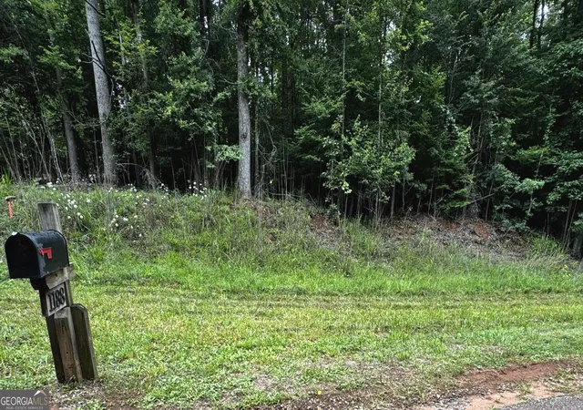 Homes for sale in Homer, GA | 0 Wilson Bridge Road (478+/  Acres), Homer, GA 30547 | MLS# 10789957