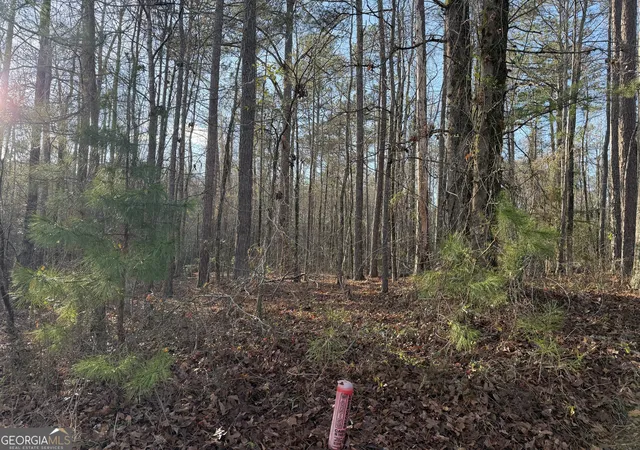 Homes for sale in Lanett, AL | 619 & 629 Ivy Court, Lanett, AL 36863 | MLS# 10706044