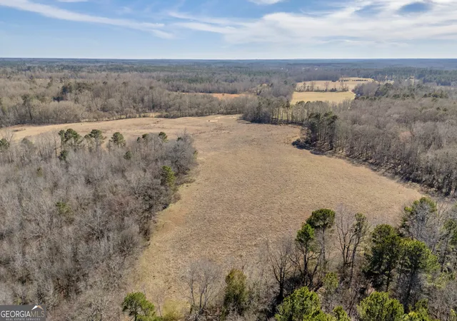 25th image of 1681 Sibley School Rd, Greensboro, GA 30642 | MLS# 10800879