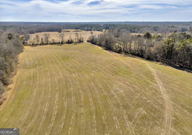 2nd image of 1681 Sibley School Rd, Greensboro, GA 30642 | MLS# 10800879
