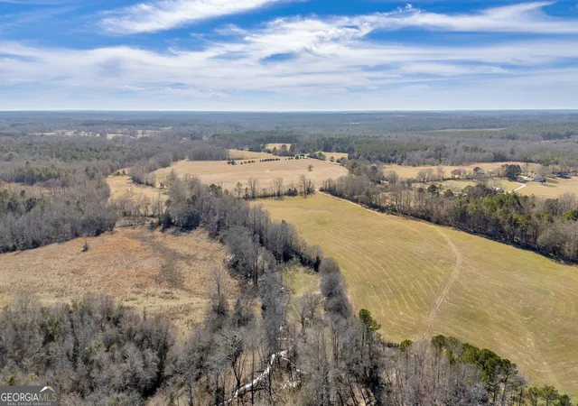 4th image of 1681 Sibley School Rd, Greensboro, GA 30642 | MLS# 10800879