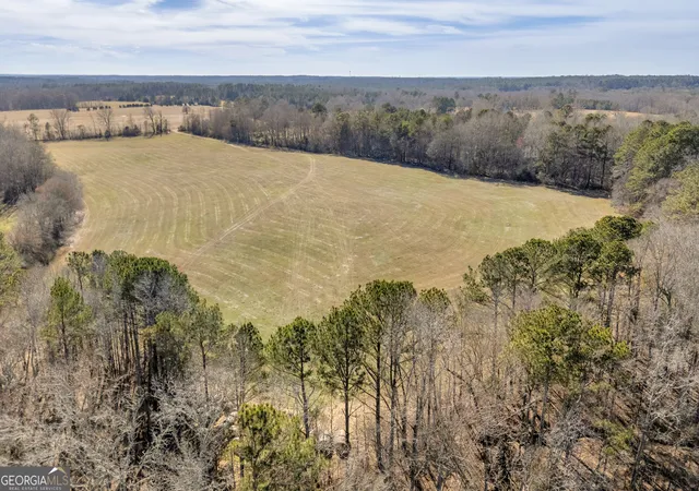 5th image of 1681 Sibley School Rd, Greensboro, GA 30642 | MLS# 10800879