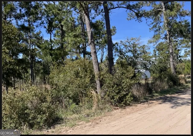 Photo 3 of Land for sale at 24 E W Autobahn Rd, Sapelo Island, GA 31327 | MLS# 10721285 | Listing updated on 2026-09-22