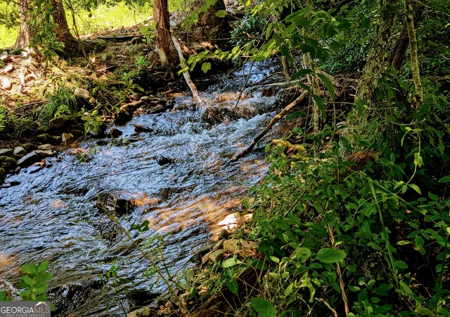3rd image of 169 E Vineyard Rd, Hayesville, NC 28904 | MLS# 10819853