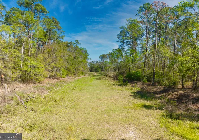 2nd image of 00 Johnson Rd S, Valdosta, GA 31601 | MLS# 10484663