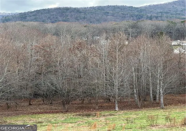 1st image of 0 Hwy 75 Alt Ga, Cleveland, GA 30528 | MLS# 10731593