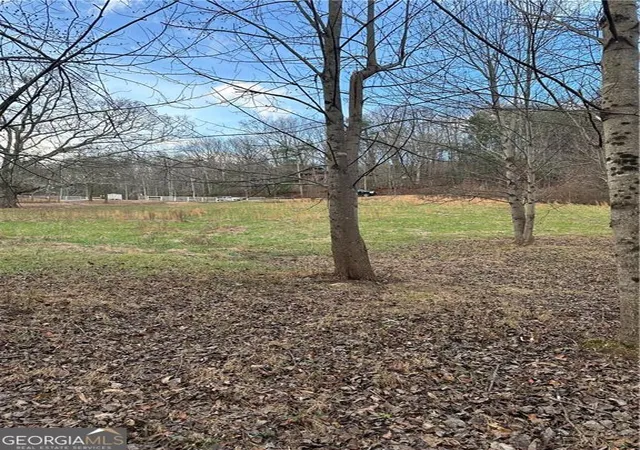 Photo 3 of Land for sale at 0 Hwy 75 Alt Ga, Cleveland, GA 30528 | MLS# 10731593 | Listing updated on 2026-07-17