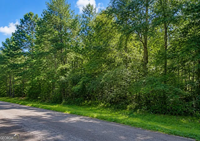 4th image of 170 Riverbrook Terrance, Covington, GA 30016 | MLS# 10790258