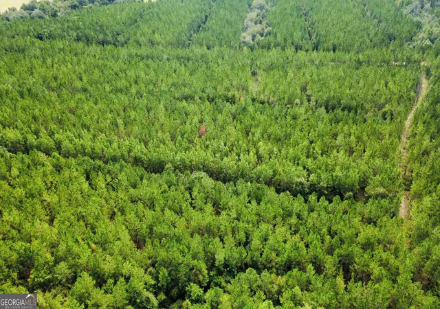 Photo 2 of Land for sale at Tract 6 Sunflower Rd, Fitzgerald, GA 31750 | MLS# 10836418 | Listing updated on 2026-09-14