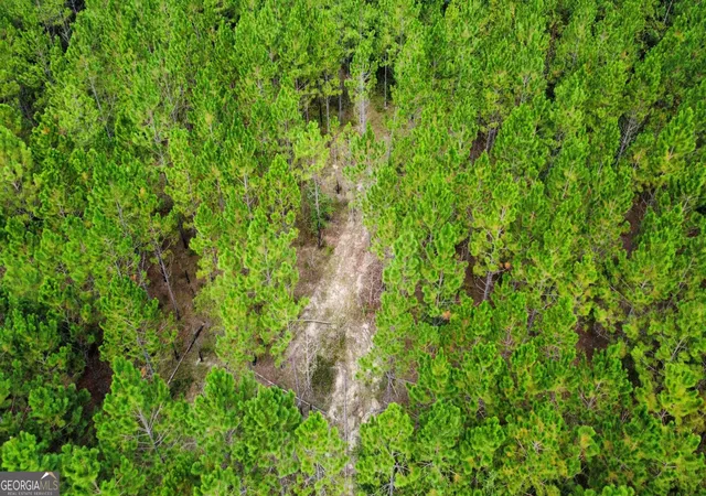 Photo 3 of Land for sale at Tract 6 Sunflower Rd, Fitzgerald, GA 31750 | MLS# 10836418 | Listing updated on 2026-09-14