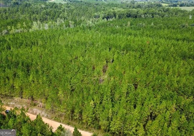 Photo 3 of Land for sale at Tract 6 Sunflower Rd, Fitzgerald, GA 31750 | MLS# 10836418 | Listing updated on 2026-09-14