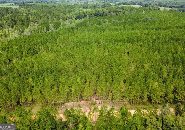 Photo 4 of Land for sale at Tract 6 Sunflower Rd, Fitzgerald, GA 31750 | MLS# 10836418 | Listing updated on 2026-09-14