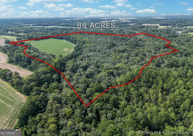 1st image of Tbd New Bethel Rd, Jesup, GA 31545 | MLS# 10828620