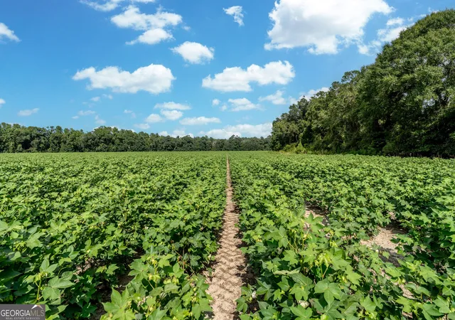 26th image of Tbd New Bethel Rd, Jesup, GA 31545 | MLS# 10828620