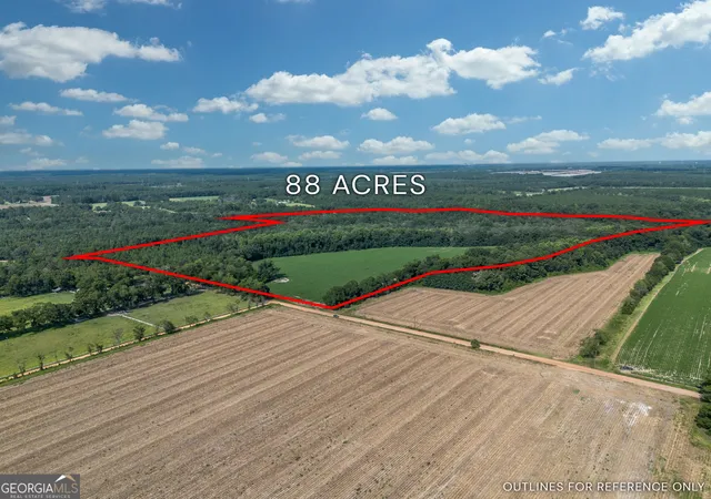 3rd image of Tbd New Bethel Rd, Jesup, GA 31545 | MLS# 10828620