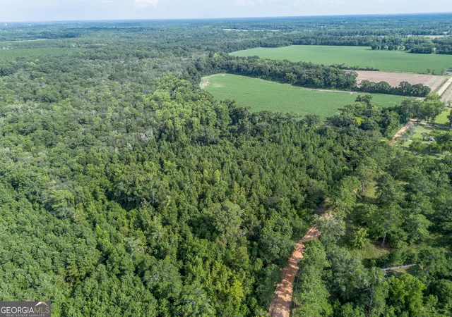 4th image of Tbd New Bethel Rd, Jesup, GA 31545 | MLS# 10828620