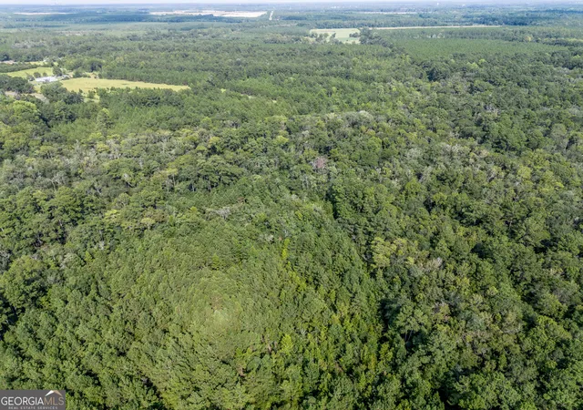 5th image of Tbd New Bethel Rd, Jesup, GA 31545 | MLS# 10828620
