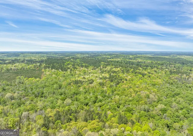 20th image of 0 Liberty Hill Glenn Rd, Lagrange, GA 30240 | MLS# 10735963