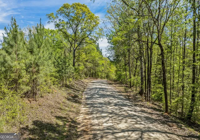 2nd image of 0 Liberty Hill Glenn Rd, Lagrange, GA 30240 | MLS# 10735963
