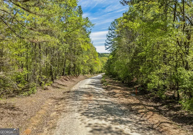 3rd image of 0 Liberty Hill Glenn Rd, Lagrange, GA 30240 | MLS# 10735963