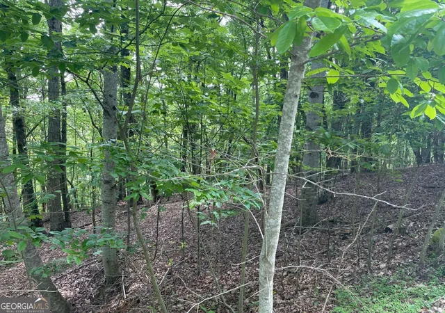 Homes for sale in Blairsville, GA | Lot 11 Brumby Run #11, Blairsville, GA 30512 | MLS# 10776923