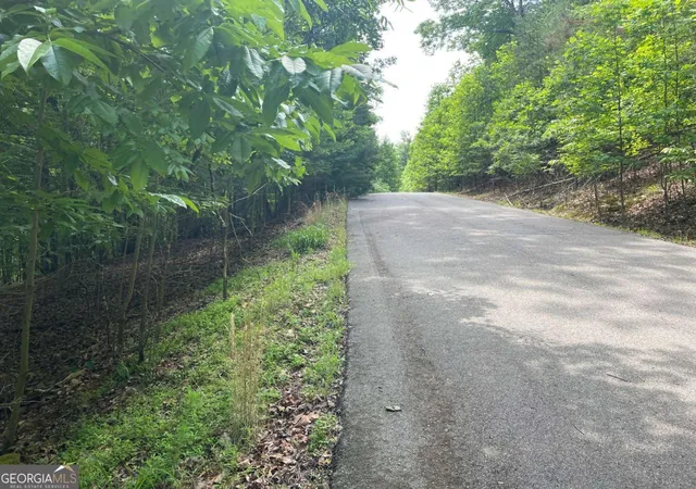 Homes for sale in Blairsville, GA | Lot 11 Brumby Run #11, Blairsville, GA 30512 | MLS# 10776923