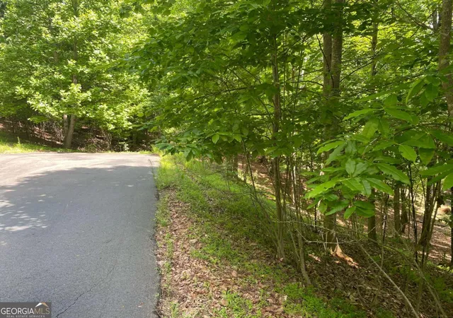 Homes for sale in Blairsville, GA | Lot 11 Brumby Run #11, Blairsville, GA 30512 | MLS# 10776923
