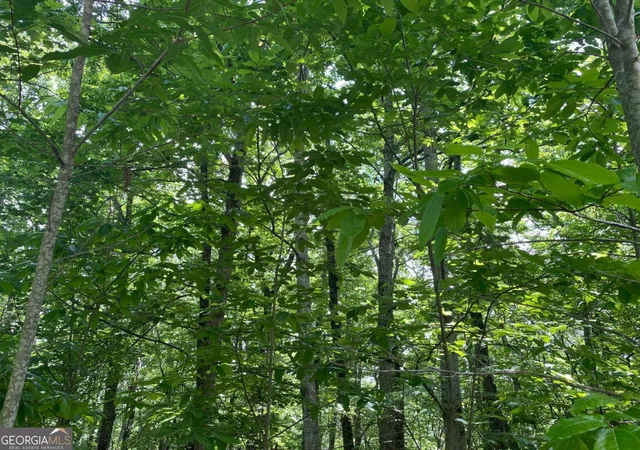 Homes for sale in Blairsville, GA | Lot 11 Brumby Run #11, Blairsville, GA 30512 | MLS# 10776923