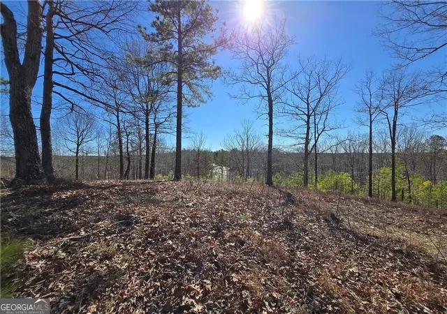 1st image of 0 Brushy Mountain Rd, Rockmart, GA 30153 | MLS# 10766583