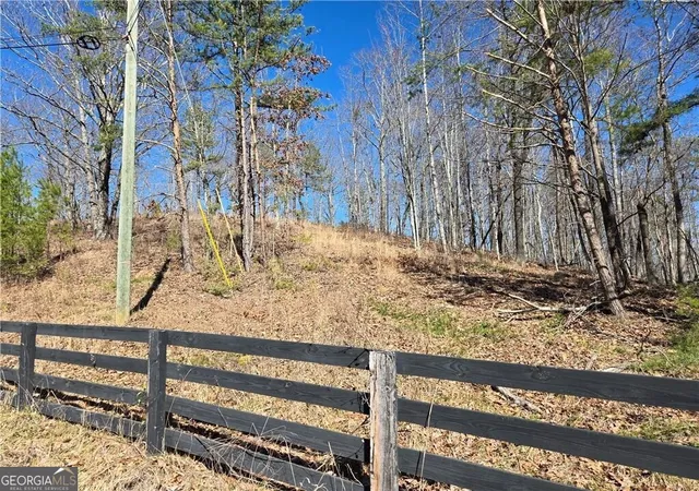 3rd image of 0 Brushy Mountain Rd, Rockmart, GA 30153 | MLS# 10766583