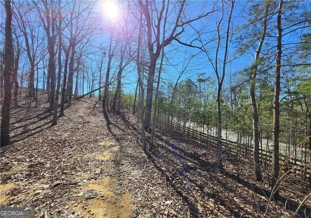 5th image of 0 Brushy Mountain Rd, Rockmart, GA 30153 | MLS# 10766583