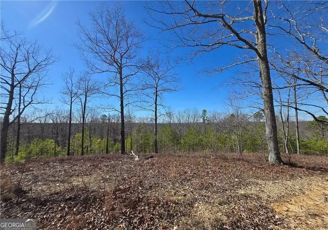 8th image of 0 Brushy Mountain Rd, Rockmart, GA 30153 | MLS# 10766583