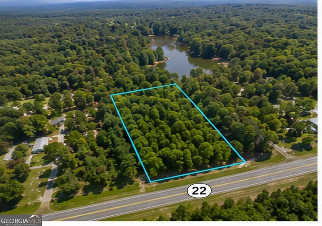 Homes for sale in Haddock, GA | 25 Acres Hwy 22, Haddock, GA 31033 | MLS# 10798538