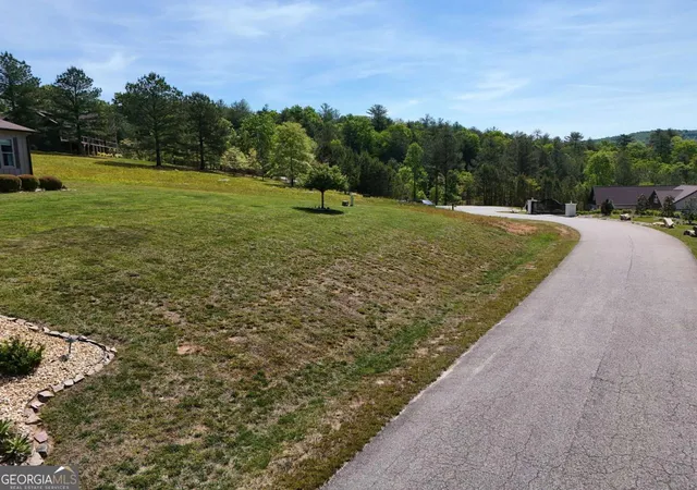 3rd image of Lot 99 Big Knoll Dr, Blairsville, GA 30512 | MLS# 10758551