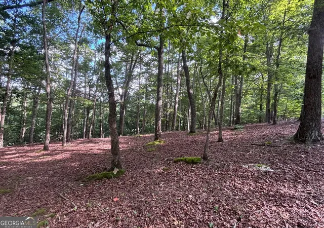 1st image of Lot 5 Westwood Ave #5, Blairsville, GA 30512 | MLS# 10826448