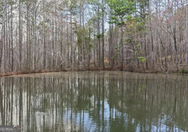 2nd image of 1156 Garmon Rd, Hiram, GA 30141 | MLS# 10705808