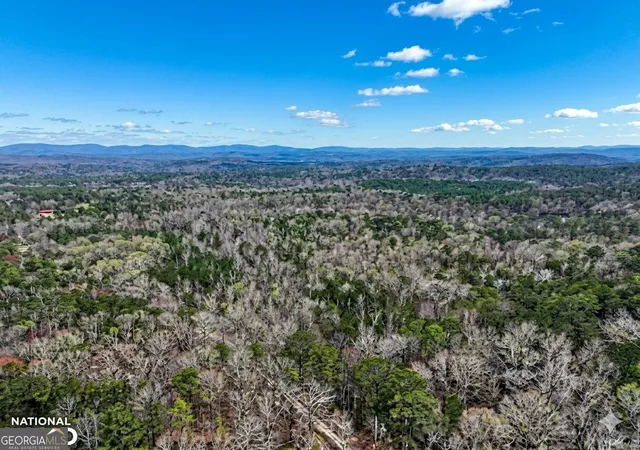 3rd image of 0 Hopefull Rd #LOT 1, Munford, AL 36268 | MLS# 10656340