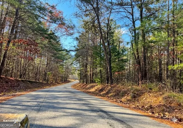 4th image of 0 Hopefull Rd #LOT 1, Munford, AL 36268 | MLS# 10656340