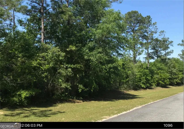 Photo 3 of Land for sale at 0 Jim Hammock Dr, Mc Rae, GA 31055 | MLS# 10680893 | Listing updated on 2026-07-30
